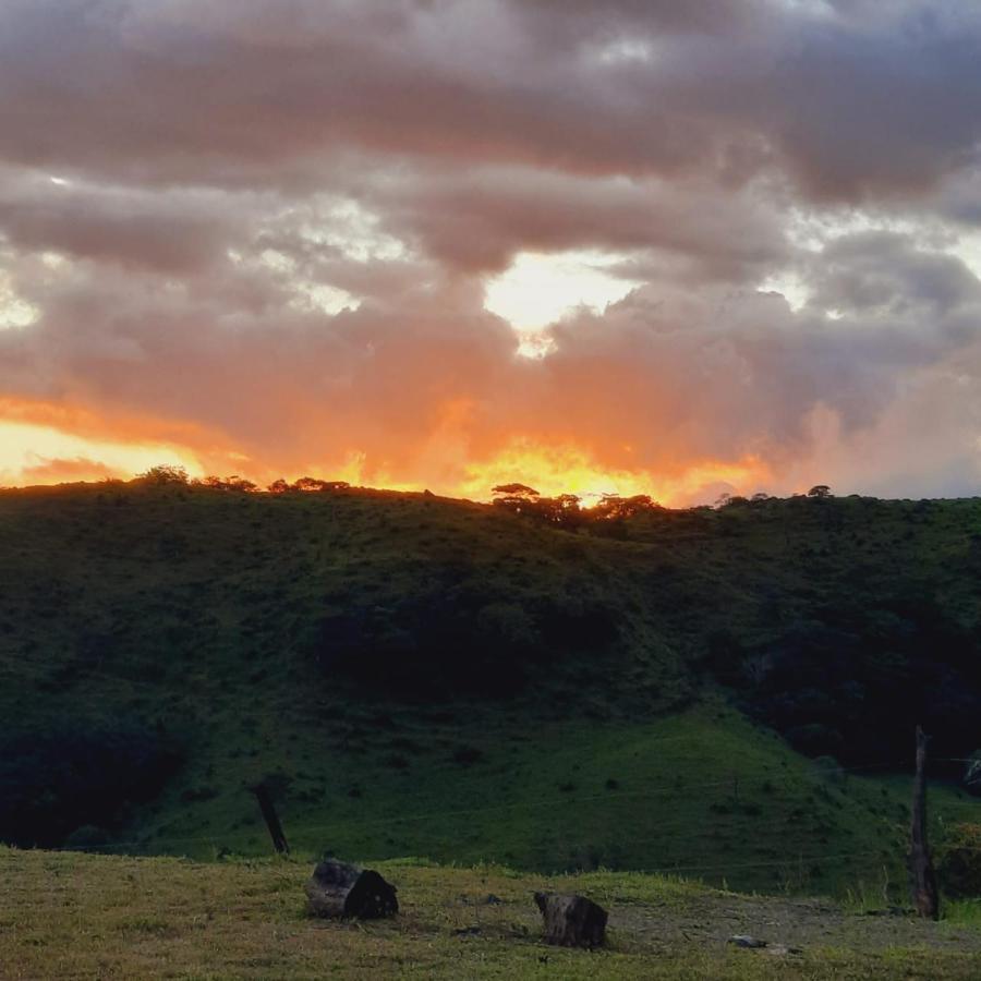 Cattleya Sunset. Lugar Ideal Para Despejarse. Monteverde 外观 照片